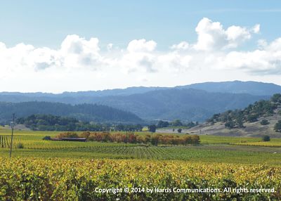 Napa Valley Panorama for Web